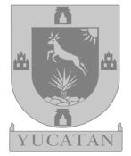  Asociación de Ajedrecistas del Estado de Yucatán, A.C.